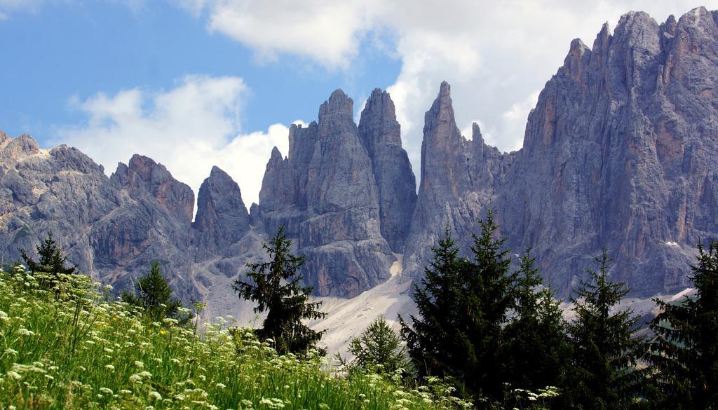 Hotel Meisules Selva di Val Gardena Ngoại thất bức ảnh