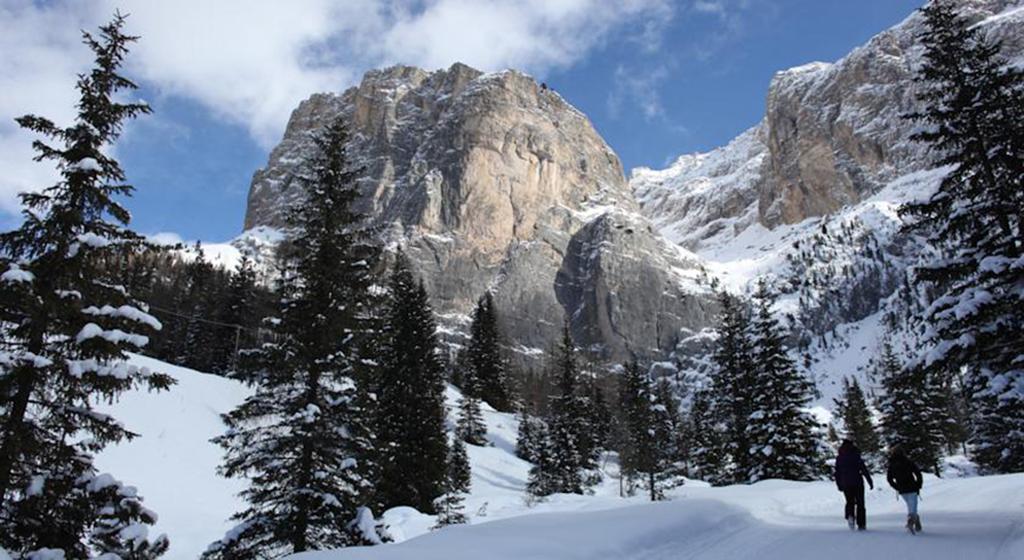 Hotel Meisules Selva di Val Gardena Ngoại thất bức ảnh