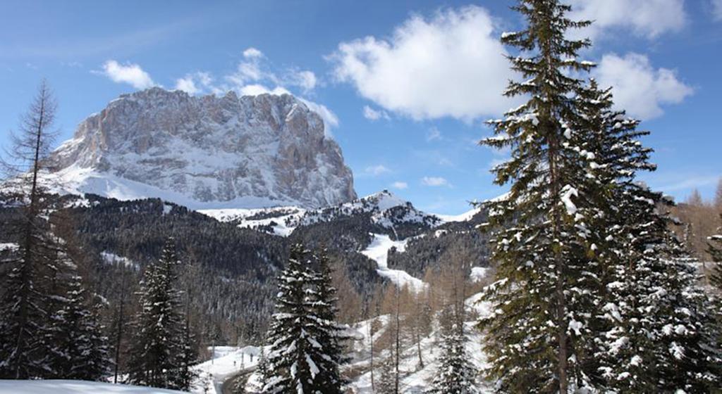 Hotel Meisules Selva di Val Gardena Ngoại thất bức ảnh