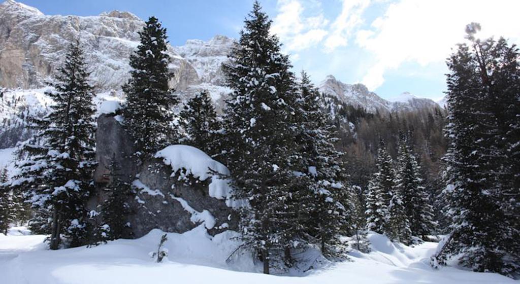 Hotel Meisules Selva di Val Gardena Ngoại thất bức ảnh