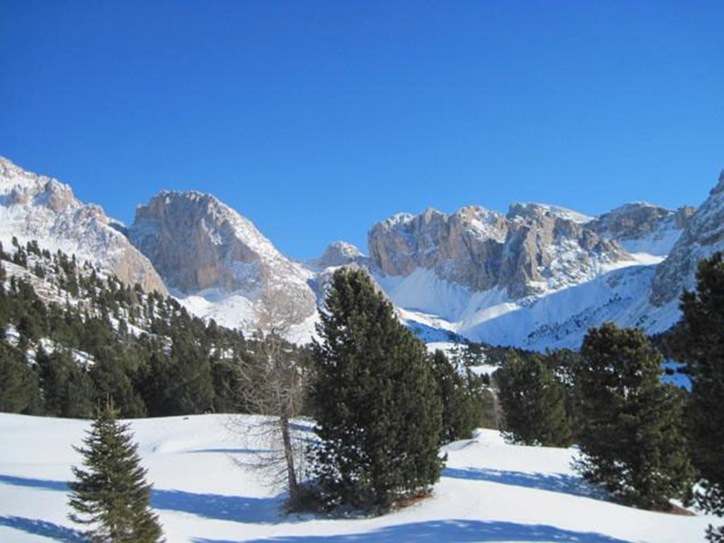 Hotel Meisules Selva di Val Gardena Ngoại thất bức ảnh