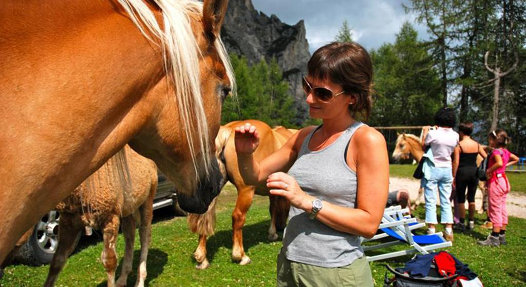 Hotel Meisules Selva di Val Gardena Ngoại thất bức ảnh