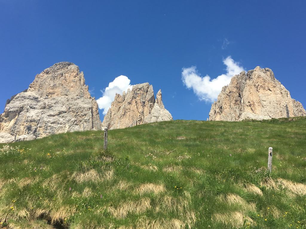 Hotel Meisules Selva di Val Gardena Ngoại thất bức ảnh