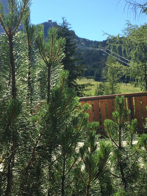 Hotel Meisules Selva di Val Gardena Ngoại thất bức ảnh